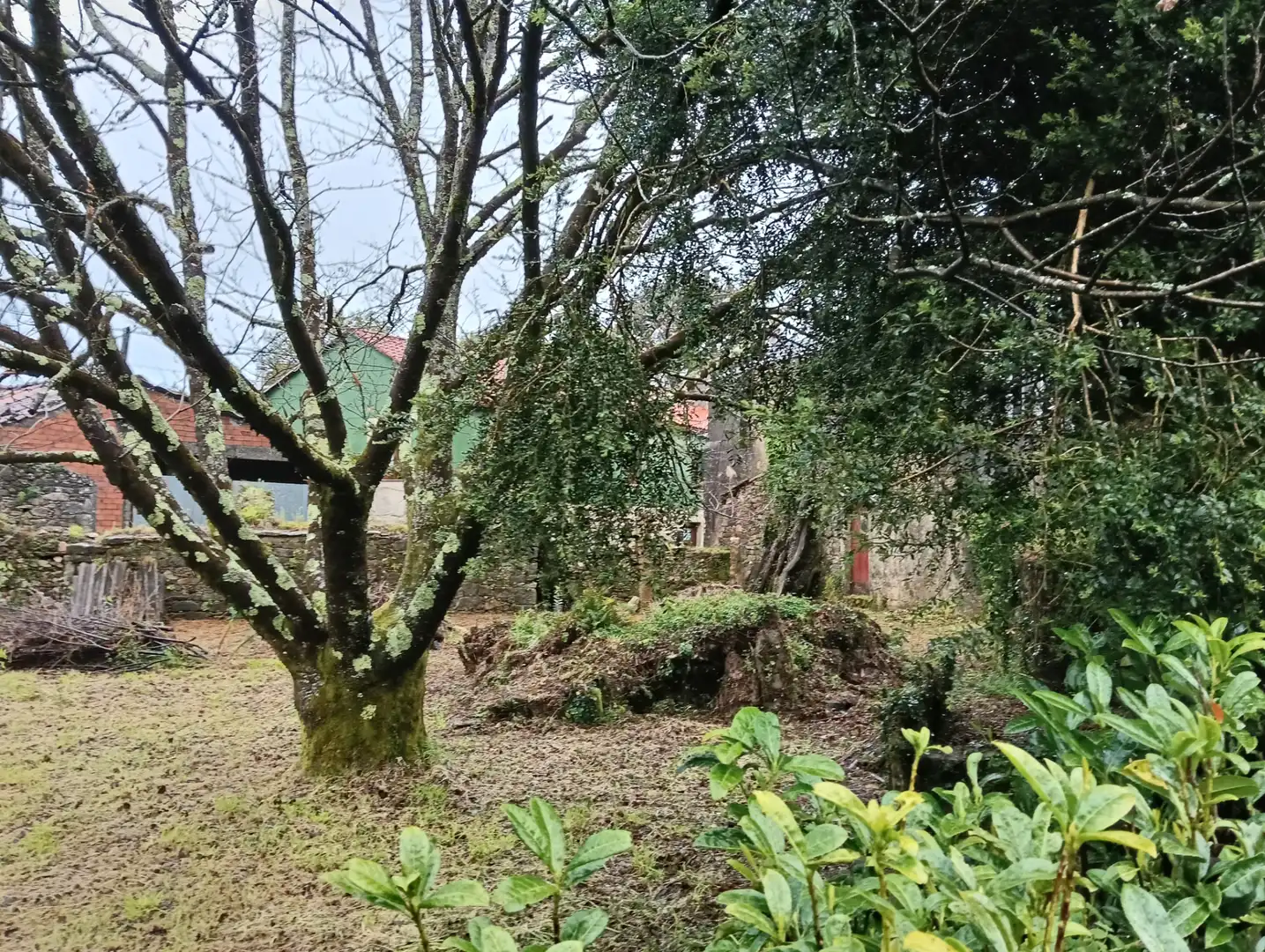Adossat amb jardí en venda a Curtis, imagen 29