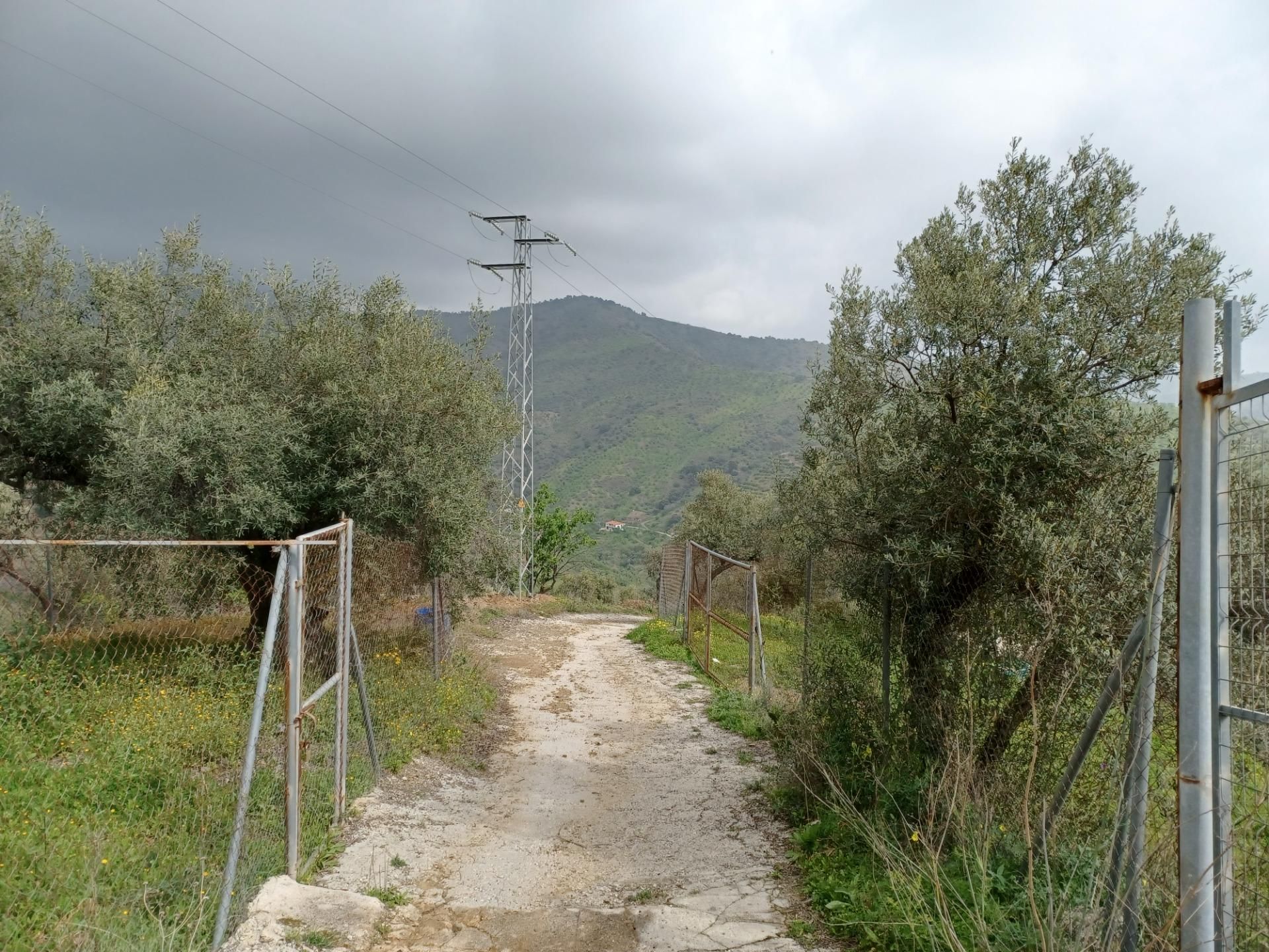 Grundstücke zur Miete in Málaga Capital