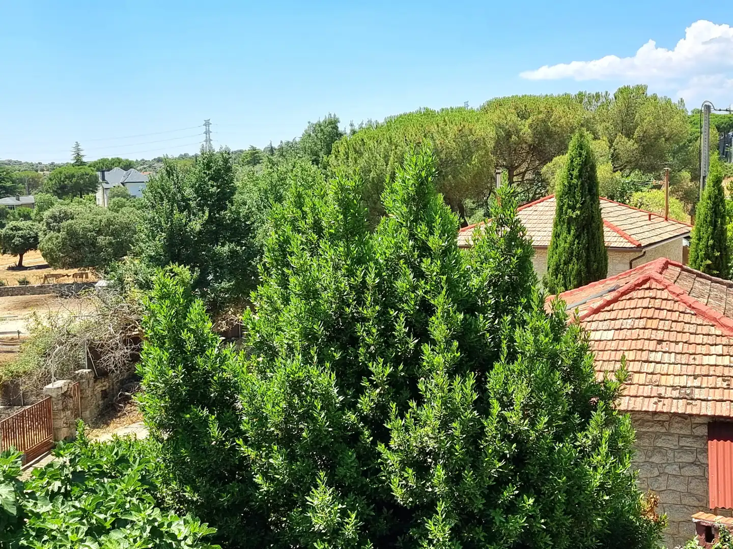 Jardí de Casa o xalet en venda en Hoyo de Manzanares