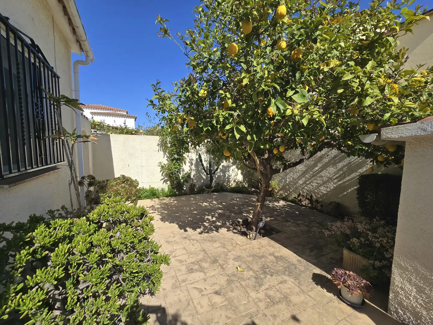 Jardí de Casa o xalet en venda en Empuriabrava amb Aire condicionat, Jardí privat i Piscina