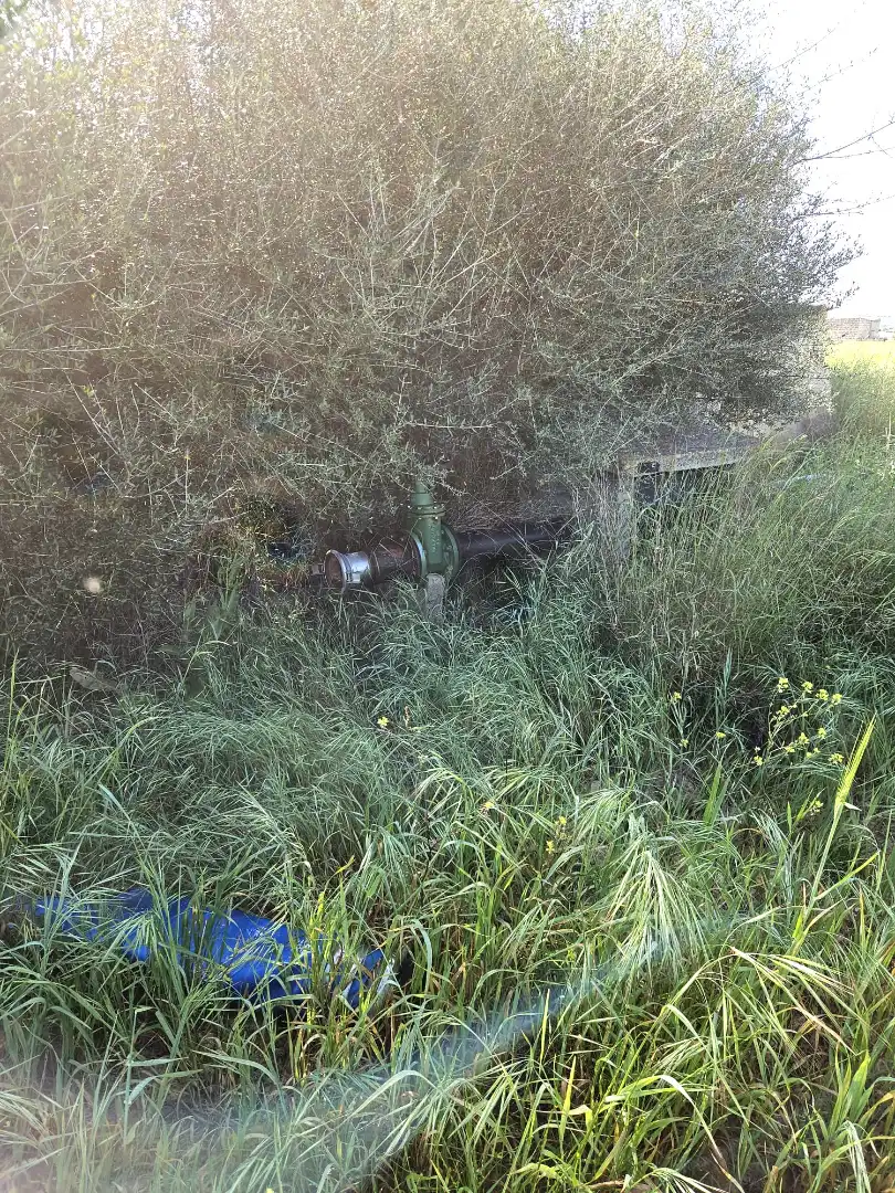 Garden of Land for sale in  Palma de Mallorca