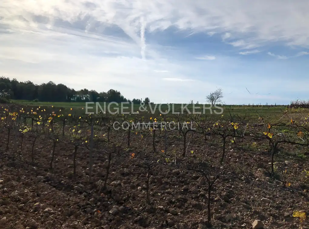 Fabrik Grundstücke zum Verkauf in Avinyonet del Penedès