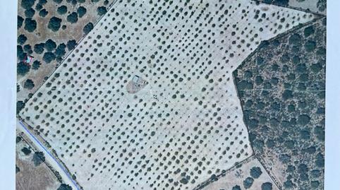 Photo 3 of House or chalet for sale in Carretera Malpartida, Zona Sur - Av. de España - San Miguel, Plasencia