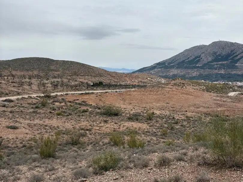 Terreno rustico in vendita a Carretera de Freila 190, imagen 5