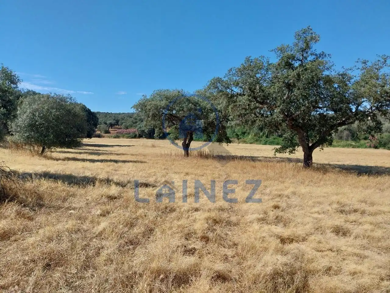 Lands and plots for sale in Fuente Obejuna, imagen 17