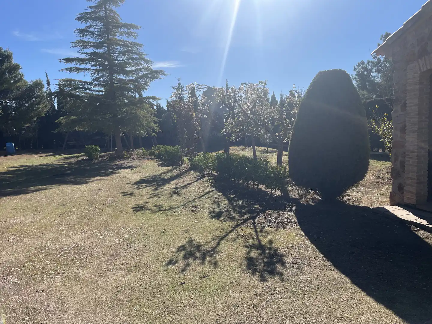 Chalet con jardín en venta en Argamasilla de Alba, imagen 3