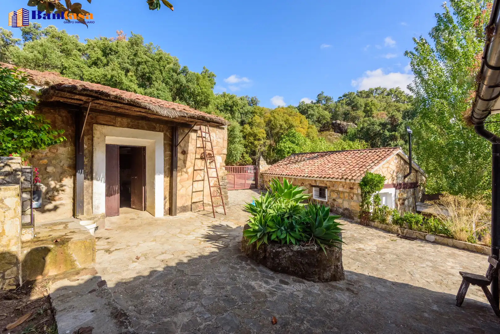 Vista exterior de Casa o xalet en venda en Cortes de la Frontera amb Calefacció, Jardí privat i Moblat
