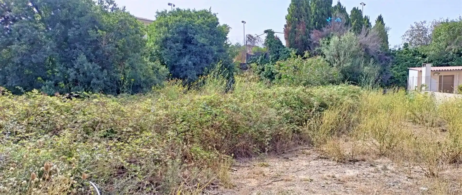 Terrenys i solars en venda a Muro, imagen 10