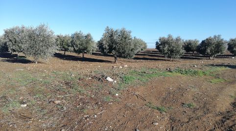 oferta de finca con agua , immagine 3