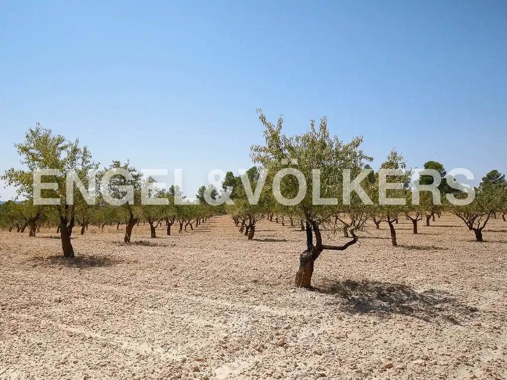 Finca rústica en venda a Requena