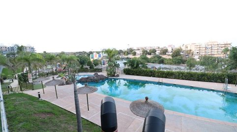 Foto 5 de Apartament de lloguer a Avenida Holanda, Mil Palmeras, Pilar de la Horadada