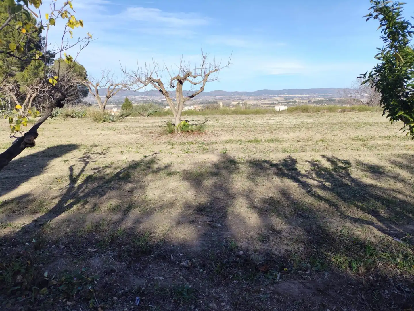 Terreno residenziale in vendita a Agullent, imagen 18