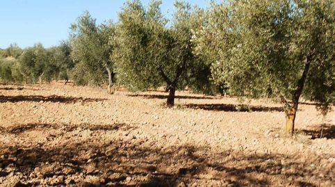 Foto 2 de Terreny en venda a Villarejo de Salvanés, Madrid