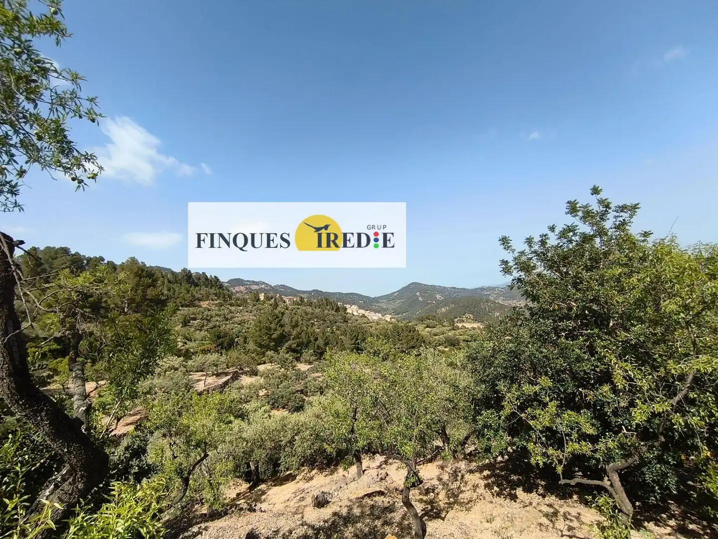 Casa en venta en Alfara de Carles, imagen 8