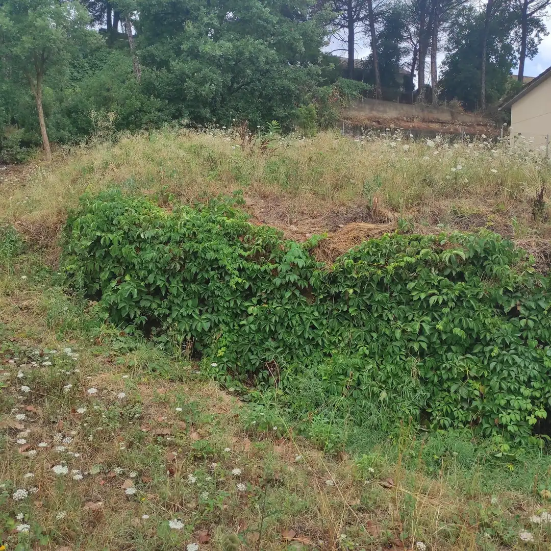 Residential for sale in Riells i Viabrea