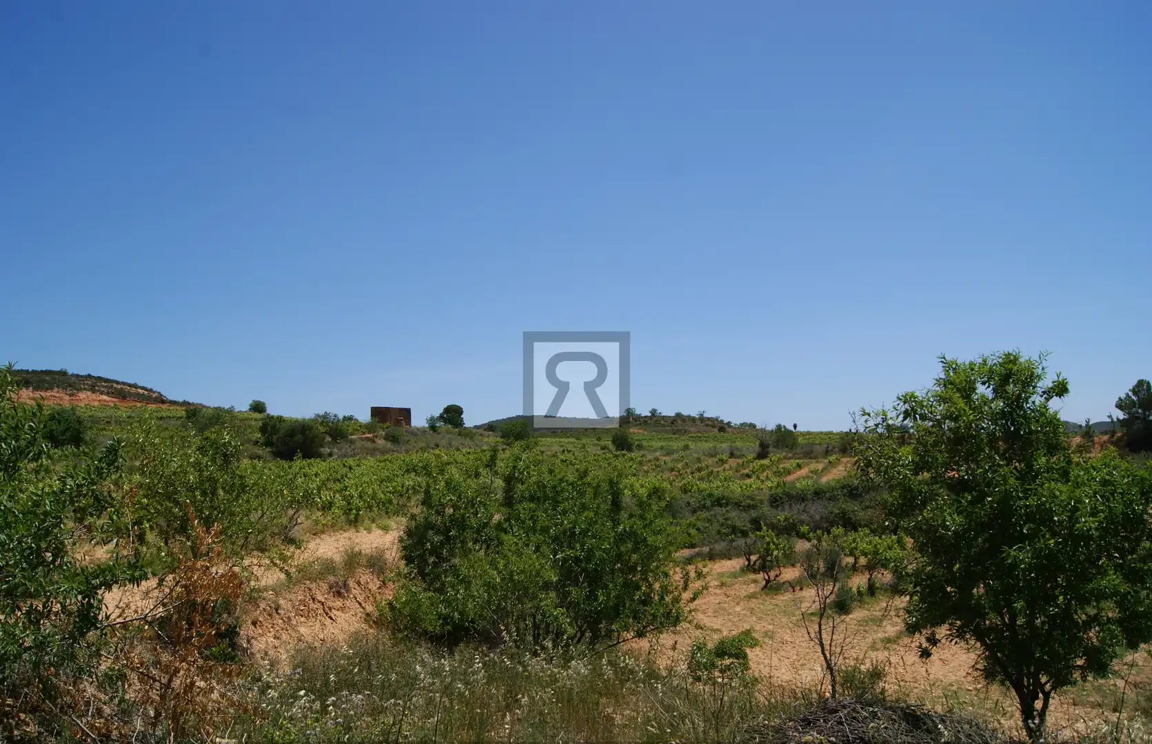 Terrain rustique à vendre à N/A, imagen 18