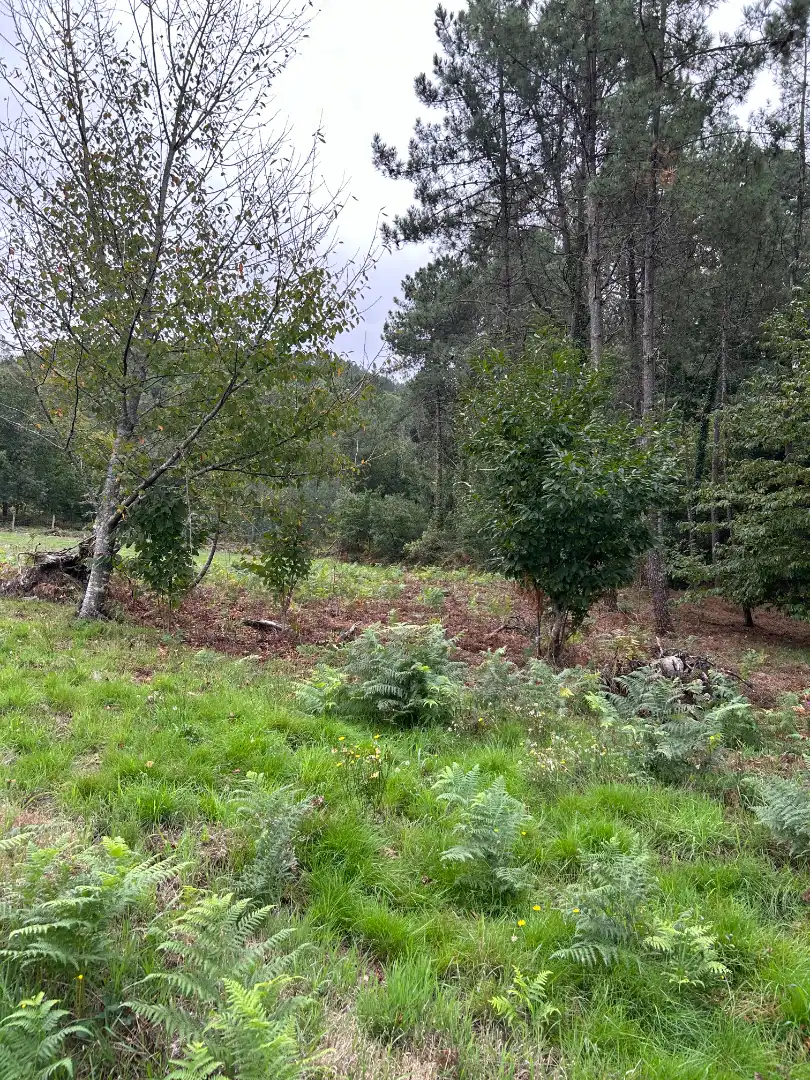 Casa aparellada amb jardí en venda a N/A, imagen 48