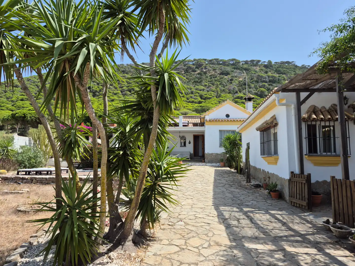 Xalet amb jardí en venda a Los Caños de Meca