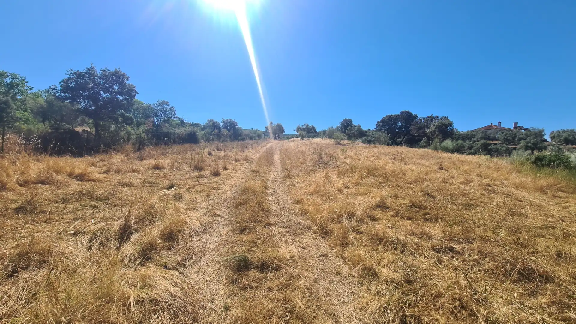 Terreno en venta en Malcocinado