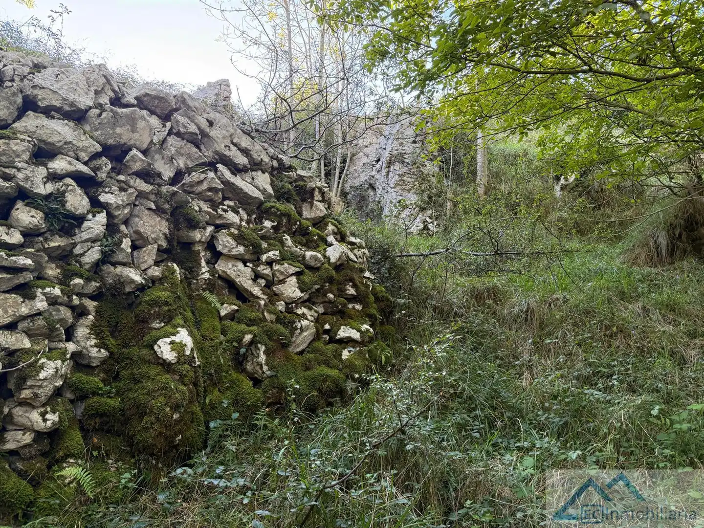 Finca rústica en venta en Ruesga