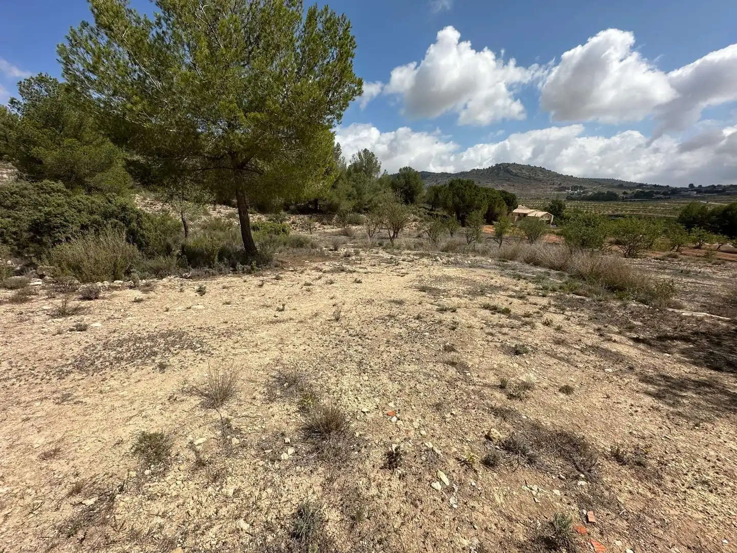 House for sale in Monóvar  / Monòver, imagen 15