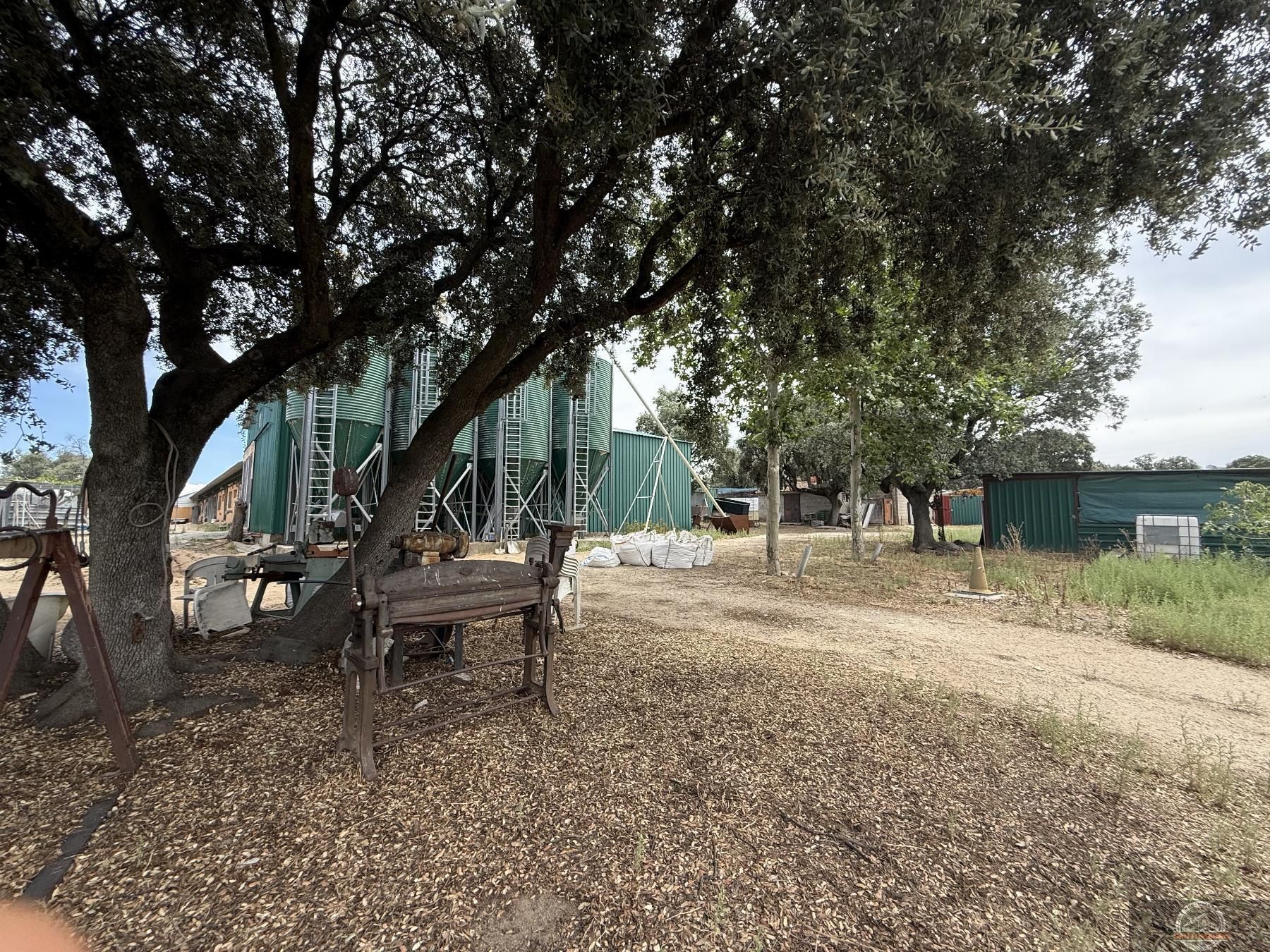 Exterior view of Country house for sale in Galapagar