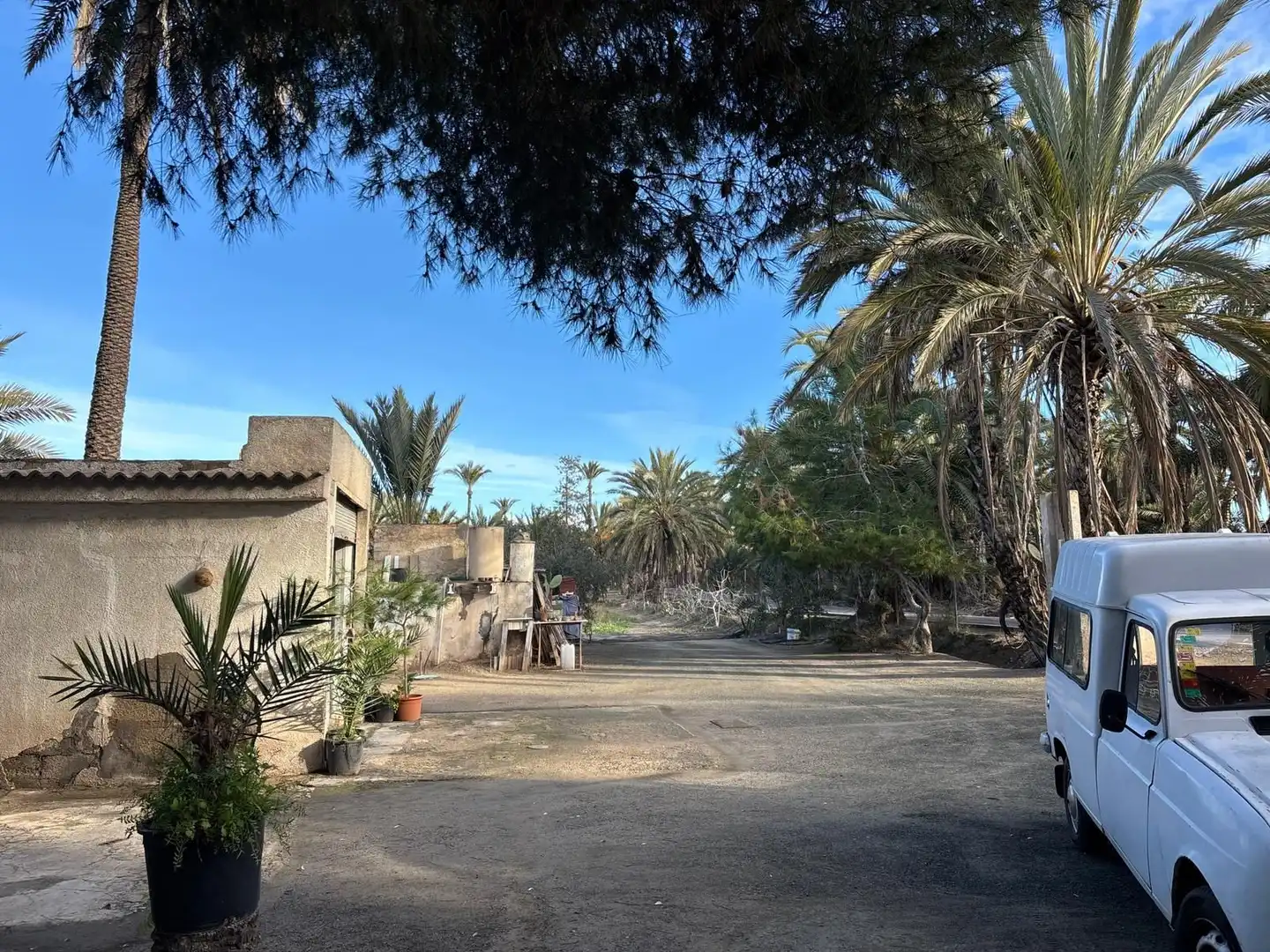 Vista exterior de Finca rústica en venda en Elche / Elx