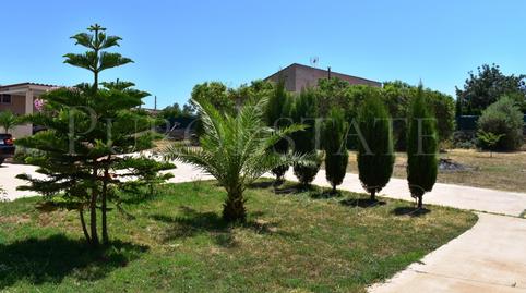 Foto 2 de Casa o chalet en venta en Es Pil·larí,  Palma de Mallorca