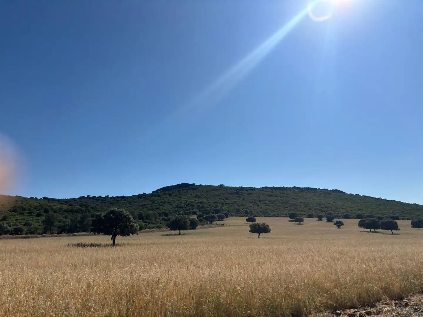 Finca rústica en venda en Ciudad Real
