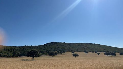 Foto 4 de Finca rústica en venda a Área Rural-Valverde-Las Casas, Ciudad Real Capital