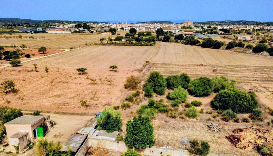 Foto 1 de Finca rústica en venta en Sa Casa Blanca, Illes Balears