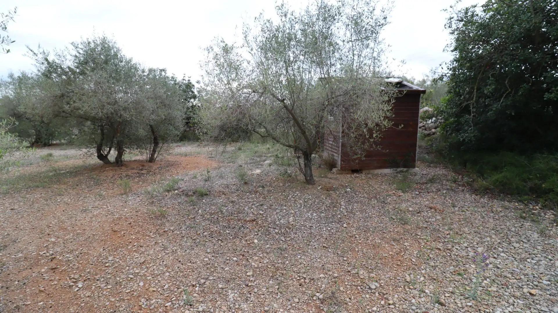 Terreny rústic en venda a Ulldecona, imagen 11