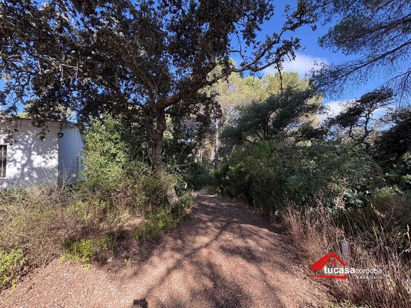 Casa rustica con piscina in vendita a Periurbano Oeste - Sierra, imagen 32