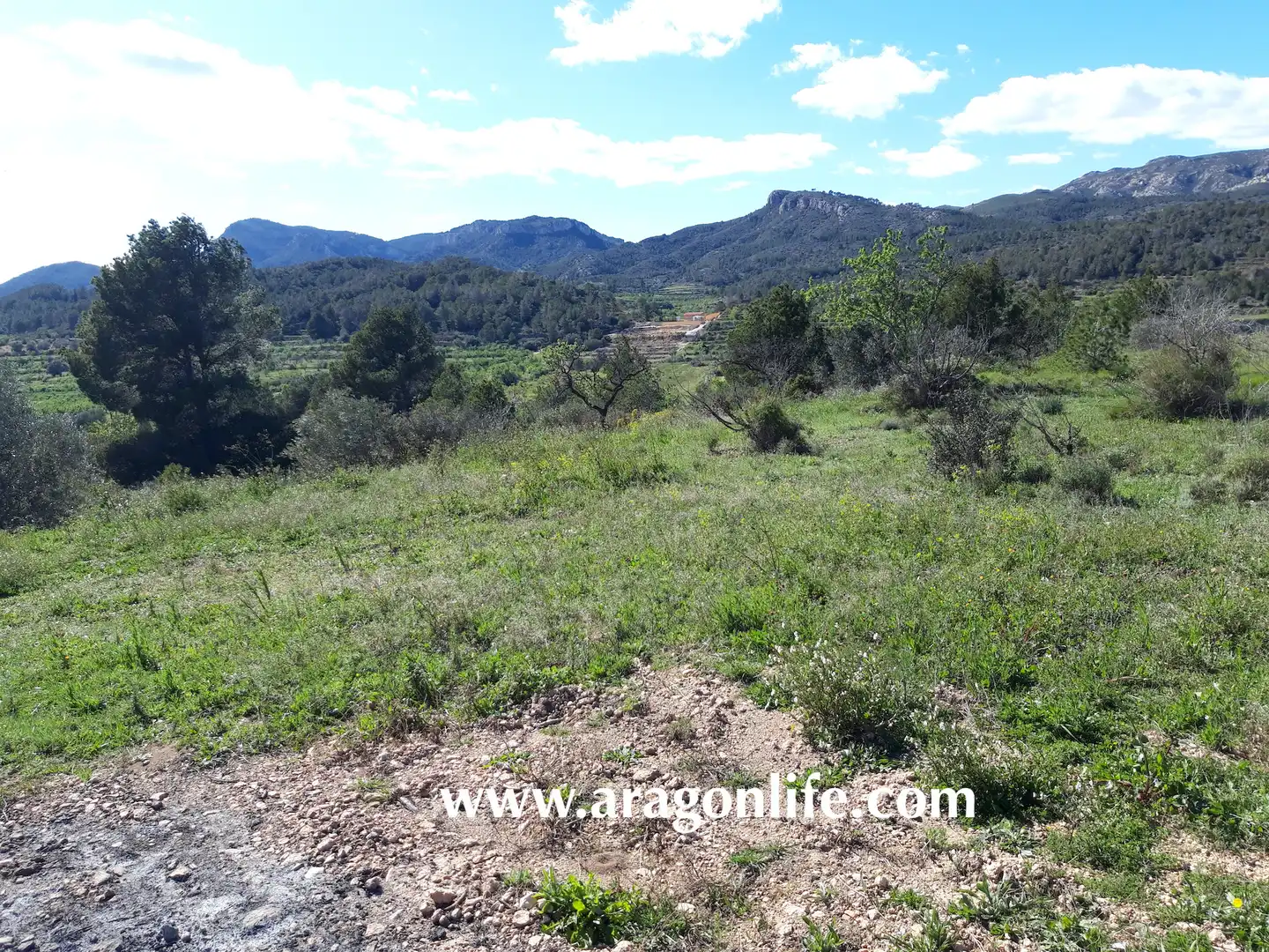 Rural land for sale in C-43, imagen 11