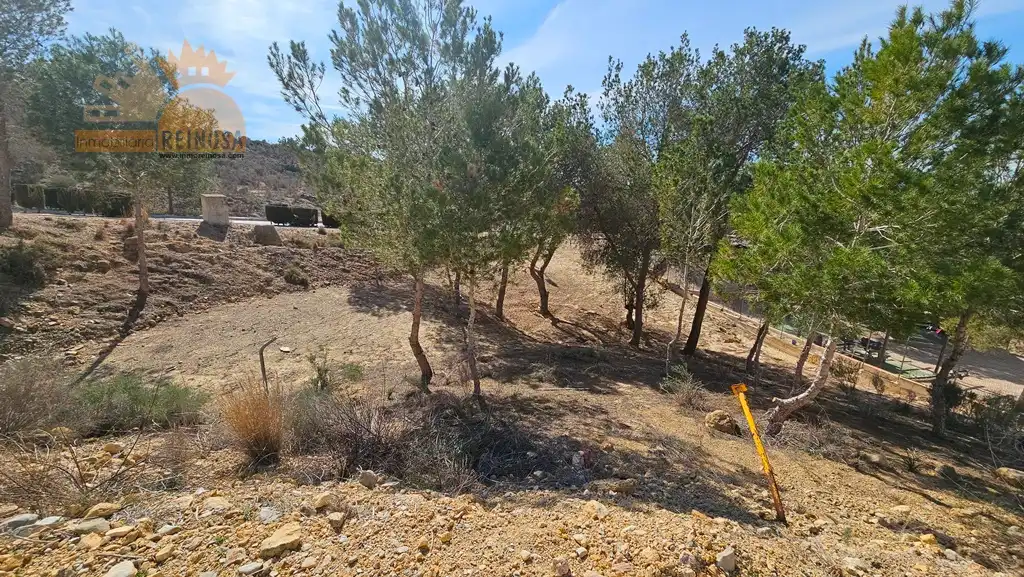 Terreny residencial en venda a Calle Castillo de Caravaca, imagen 5