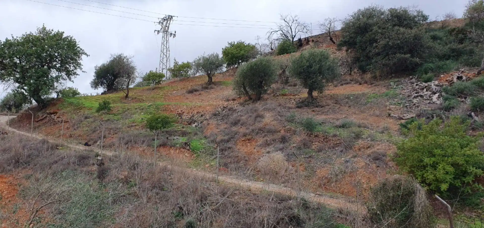 Terreni e lotti in vendita a Cártama pueblo, imagen 27
