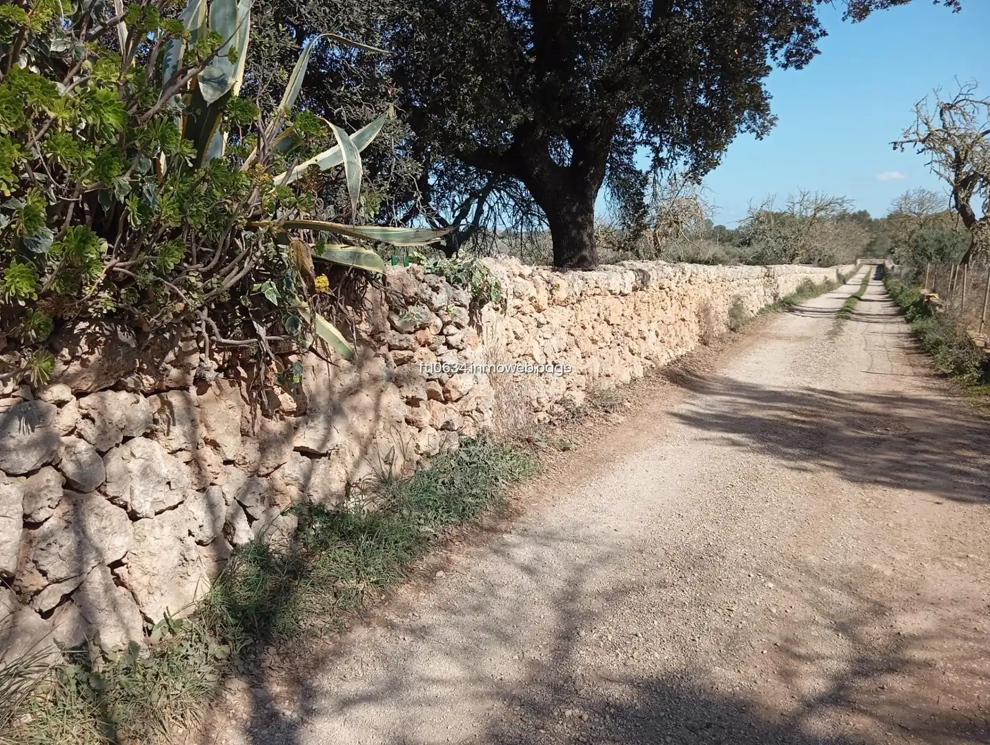 Casa in vendita a Algaida, imagen 24