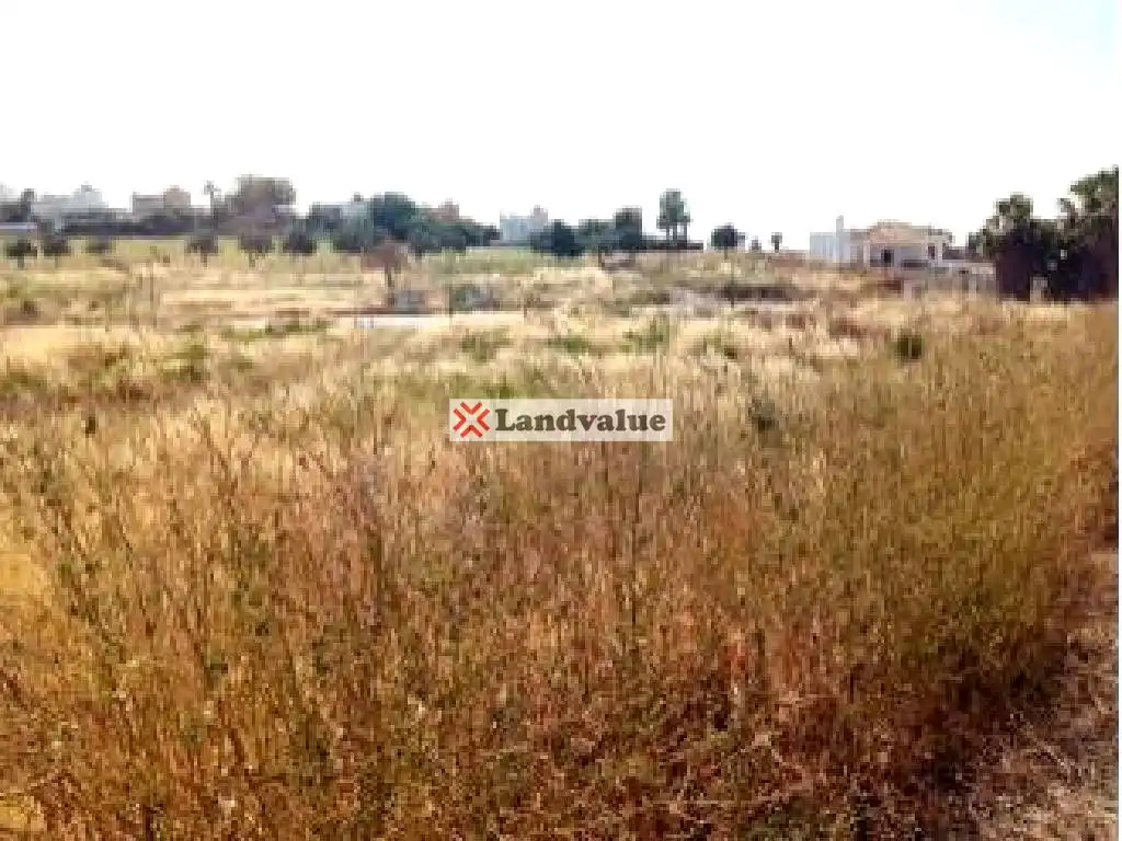 Terrenys i solars en venda a SUP-MM-1 'LOMA DE MARTIN MIGUEL'