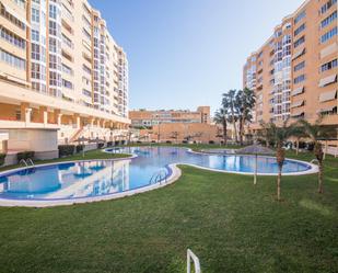 Swimming pool of Flat to rent in Alicante / Alacant  with Air Conditioner, Heating and Private garden