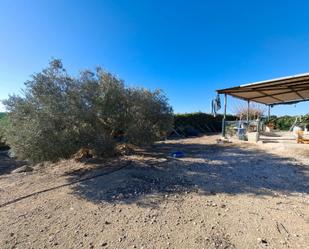 Land for sale in Guardamar del Segura