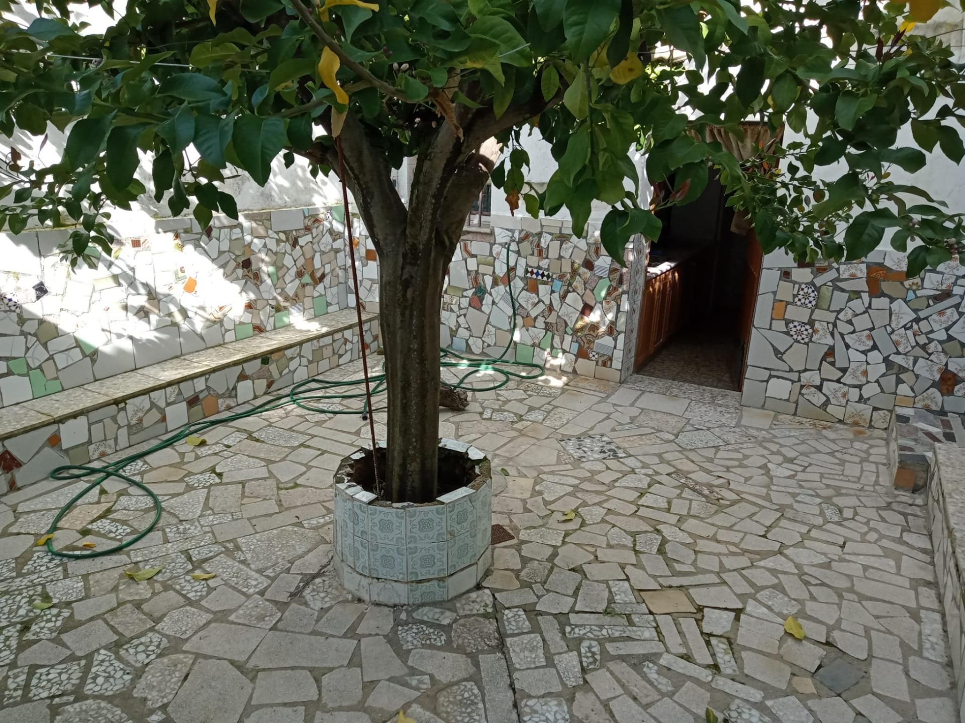 Jardí de Casa o xalet en venda en Navas del Madroño amb Aire condicionat, Calefacció i Terrassa