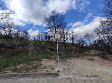 Terreno residenziale in vendita a Carrer Isard 23C