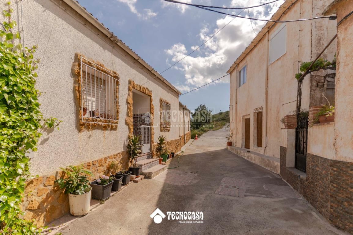 Vista exterior de Finca rústica en venda en Torvizcón