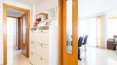 Foto 4 de Piso de alquiler en Les Maravelles, Palma de Mallorca