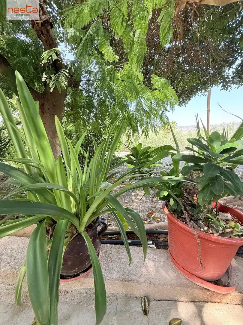 Xalet amb jardí en venda a Pedanías Centro, imagen 31