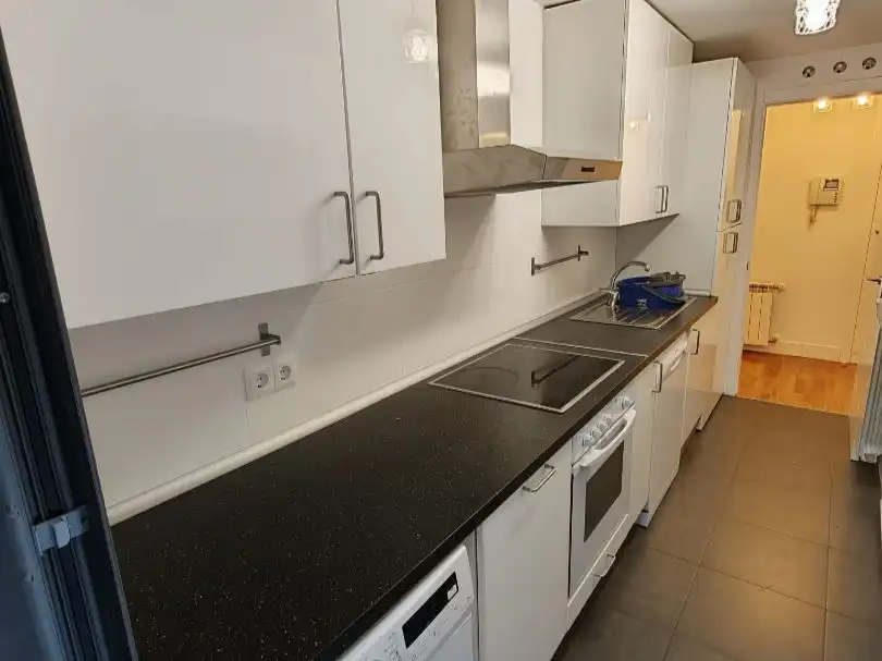 Kitchen of Flat for rent in Madrid  with Air Conditioner, Heating and Private garden