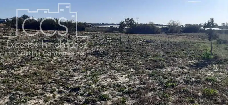 Terreni e lotti in vendita a Almonte ciudad, imagen 2