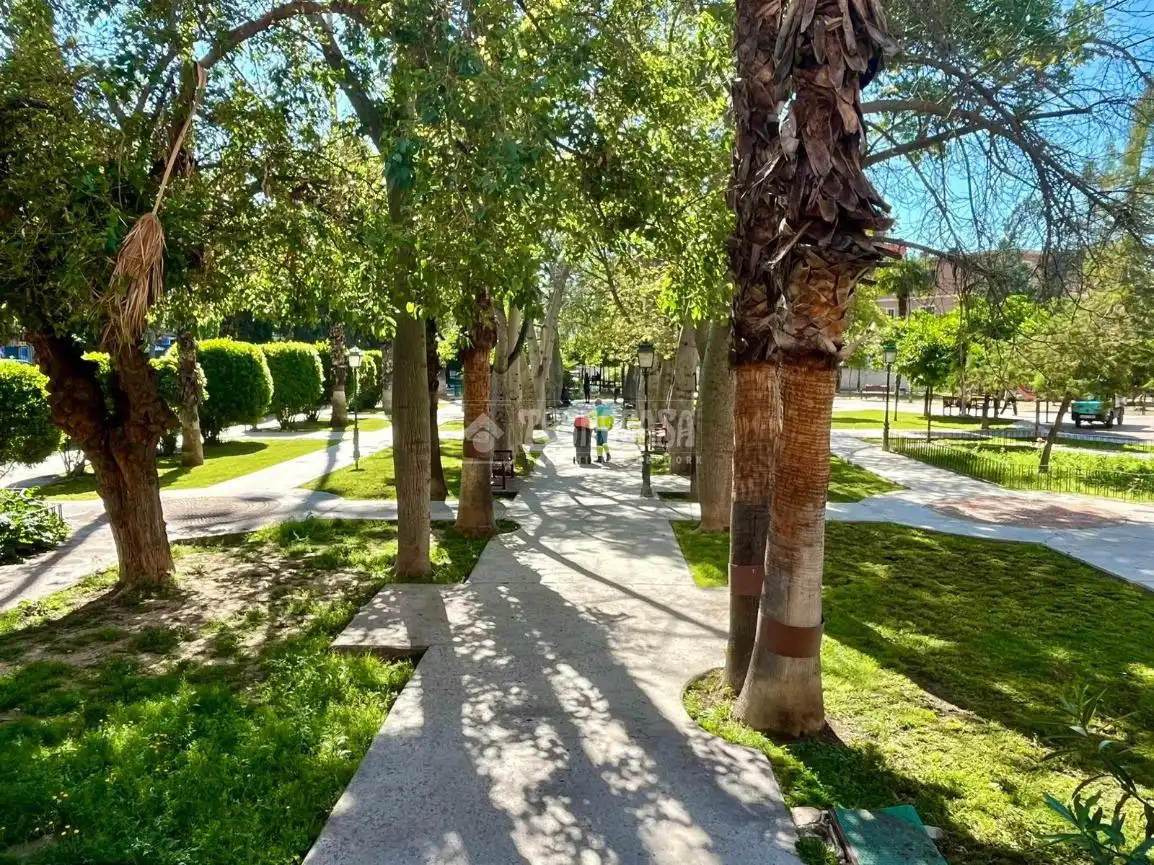 Vista exterior de Piso en venta en Murcia con Terraza