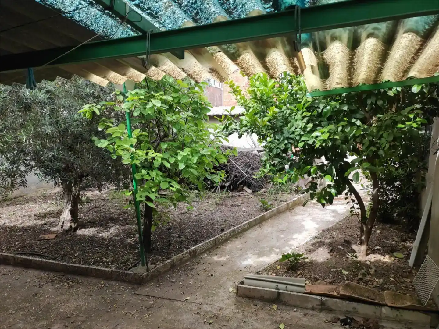 Jardín de Planta baja en venta en Argamasilla de Calatrava con Jardín privado