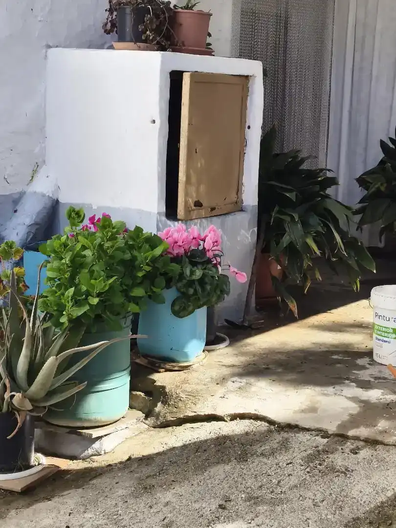 Vista exterior de Finca rústica en venta en Albondón con Jardín privado, Trastero y Amueblado